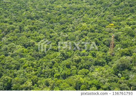 Tropical rainforest landscape Aerial view Iguazu falls waterfalls Scenic destination panorama from helicopter tour Tropical rainforest landscape Aerial view Iguazu falls waterfalls Scenic destination panorama from helicopter tour 136761793