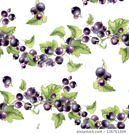 Black currant with dew drops watercolor seamless pattern isolated white. Fresh berries green leaf hand drawn. Superfood print for packaging. Berry on wavy branches repeat design for kitchen textile. 136761894