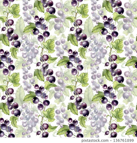 Botanical fresh garden berries seamless texture isolated on white. Watercolor summer pattern with black currant berry and greenery stems hand painted. Print for textile, wrapping paper, background. 136761899