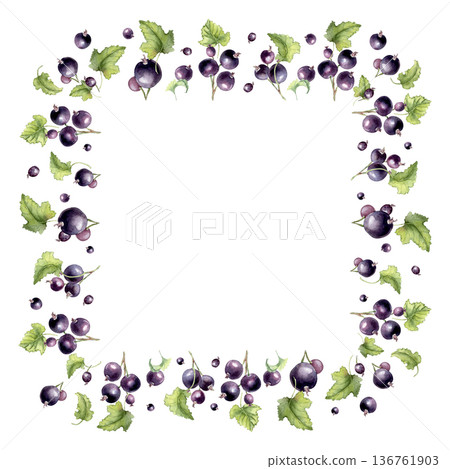 Blackcurrant watercolor frame with green leaves and vibrant berries isolated background. Botanical illustration hand drawn for design food packaging. Summer fresh fruits on frame with copy space. Blackcurrant watercolor frame with green leaves and vibrant berries isolated background. Botanical illustration hand drawn for design food packaging. Summer fresh fruits on frame with copy space. 136761903
