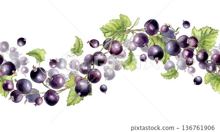 Black currant watercolor seamless border with berries and leaves isolated white. Botanical painting illustration for organic food packaging, cosmetic product, juice label. Berries repeat wavy print. 136761906