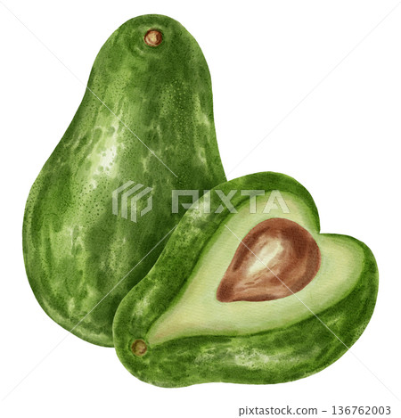 A hand-drawn watercolor illustration of an avocado composition with slices and leaves. Suitable for stores, cafes, packaging, menus, and products related to cooking, skincare, and health A hand-drawn watercolor illustration of an avocado composition with slices and leaves. Suitable for stores, cafes, packaging, menus, and products related to cooking, skincare, and health 136762003