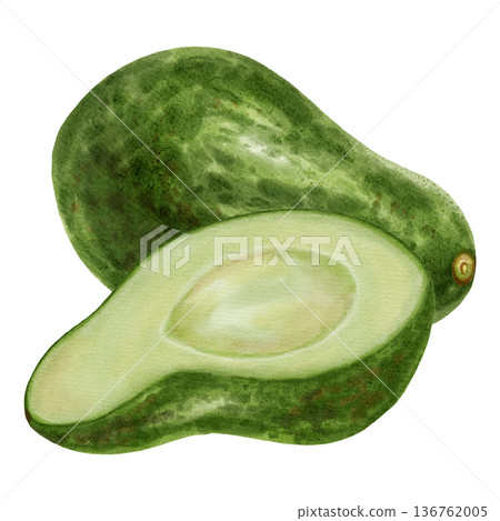 A hand-drawn watercolor illustration of an avocado composition with slices and leaves. Suitable for stores, cafes, packaging, menus, and products related to cooking, skincare, and health. 136762005