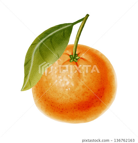 A composition of tangerines on a branch. Watercolor illustration of mandarins on a branch with leaves. Citrus fruits. Ideal for New Year design, packaging, menus, branding, and food packaging 136762163