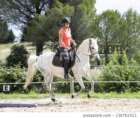 riding girl and horse riding girl and horse 136762421