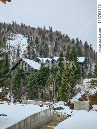 Winter Forest Hill with Pine Trees Among Village Houses Winter Forest Hill with Pine Trees Among Village Houses 136763126
