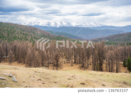 Mountain ridge valley and peaks in Ulagan region Altai Russia. Expansive alpine landscape with rugged terrain and natural wilderness 136763337