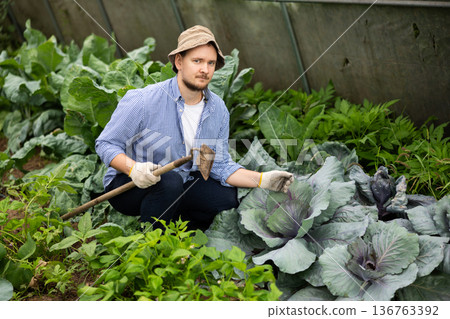 Portrait of man inside greenhouse with harvest of vegetables and cabbage 136763392
