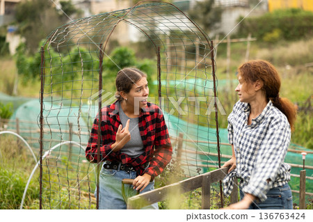 Two women quarrel at border of garden plots Two women quarrel at border of garden plots 136763424