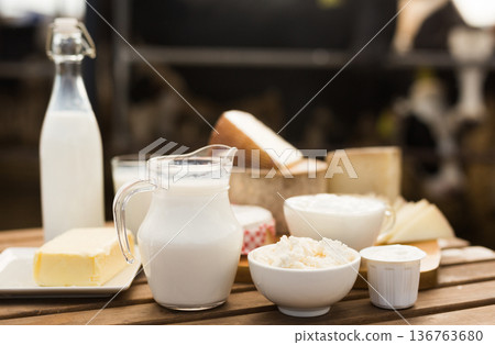 milk, cottage cheese, cream, cheese on table against background of cows 136763680