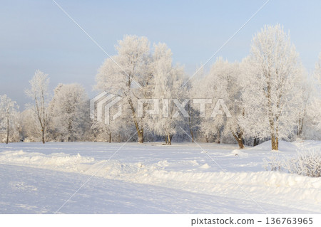 A winter scene with trees covered in hoarfrost under a clear blue sky. Season A winter scene with trees covered in hoarfrost under a clear blue sky. Season 136763965