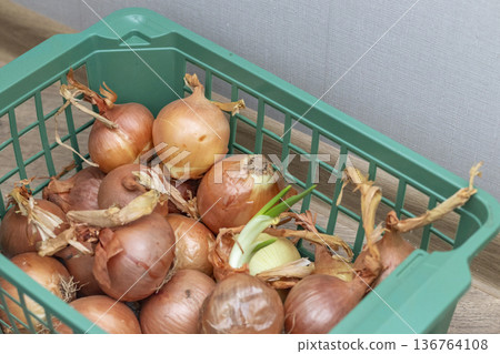 Brown onions in a plastic rack. Vegetables Brown onions in a plastic rack. Vegetables 136764108