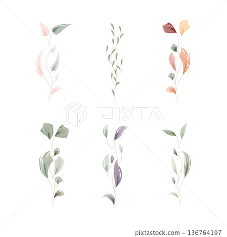 Six delicate watercolor illustrations display leafy branches and vines on a clean white background. Six delicate watercolor illustrations display leafy branches and vines on a clean white background. 136764197