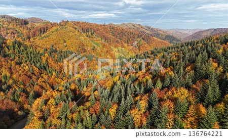 A wide aerial view from a drone flying low above the treetops in an autumn-colored forest. A wide aerial view from a drone flying low above the treetops in an autumn-colored forest. 136764221
