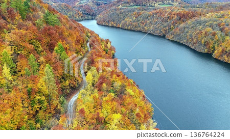 An aerial view of a winding road running through colorful autumn forest An aerial view of a winding road running through colorful autumn forest 136764224