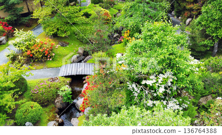 Aerial view on Rhododendron of 5 colors in Japanese garden: lightpurple, purple; red; orange and yellow and a little pink (6th) Aerial view on Rhododendron of 5 colors in Japanese garden: lightpurple, purple; red; orange and yellow and a little pink (6th) 136764388