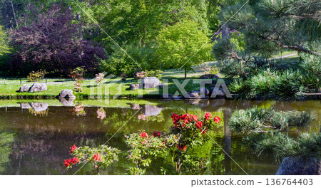 Awe Lake and rhododendron blossoms in Japanese garden in late June in northern Europe Awe Lake and rhododendron blossoms in Japanese garden in late June in northern Europe 136764403
