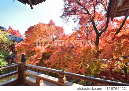 Autumn leaves of Takara Hospital 136764422