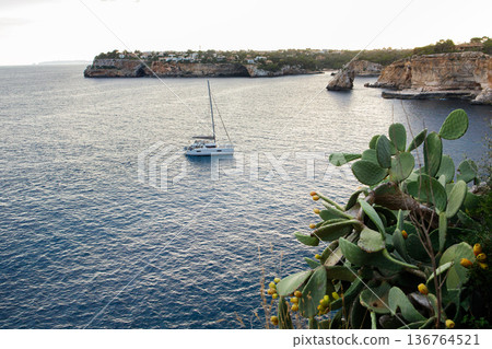 Seascape with picturesque rocky coast of Mallorca island, white yacht and big opuntia cactus growing over the sea. Cala Santanyi, Cala Lloombrards and Es Pontas rock. Seascape with picturesque rocky coast of Mallorca island, white yacht and big opuntia cactus growing over the sea. Cala Santanyi, Cala Lloombrards and Es Pontas rock. 136764521