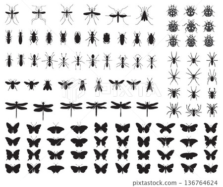 Big set of black silhouettes of insects 136764624