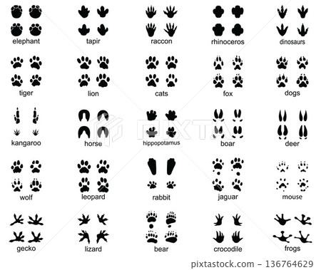 Set of wild animal footprints, illustration of black silhouettes Set of wild animal footprints, illustration of black silhouettes 136764629