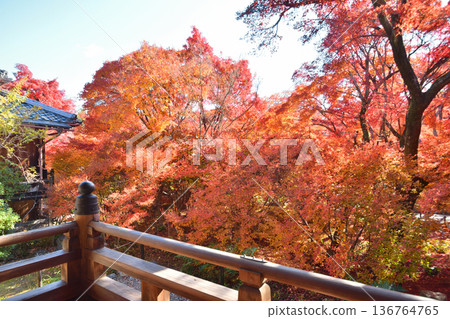 Autumn leaves of Takara Hospital 136764765