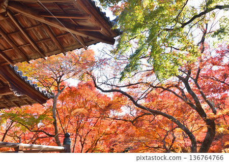 Takara醫院秋葉 Takara醫院秋葉 136764766