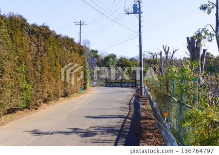 Around Omachi Station, Ichikawa City, Chiba Prefecture January 2026 136764797