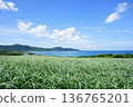 Sugarcane, sea and sky overlooking Okinawa from a high vantage point 136765201