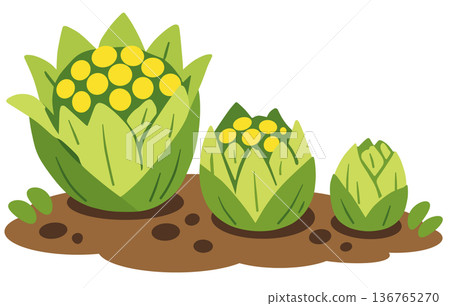 Fukinoto Fukinoto 136765270