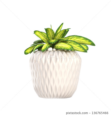 decorative flower in a pot isolate on a transparent background, 3D illustration, cg render decorative flower in a pot isolate on a transparent background, 3D illustration, cg render 136765466