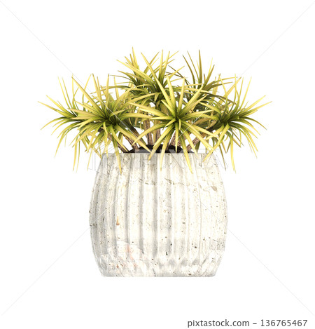decorative flower in a pot isolate on a transparent background, 3D illustration, cg render decorative flower in a pot isolate on a transparent background, 3D illustration, cg render 136765467