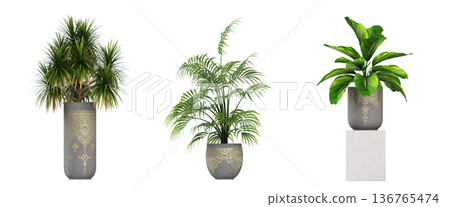 decorative flower in a pot isolate on a transparent background, 3D illustration, cg render decorative flower in a pot isolate on a transparent background, 3D illustration, cg render 136765474