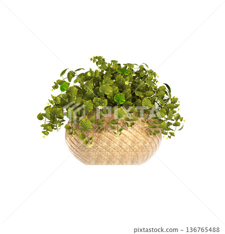 decorative flower in a pot isolate on a transparent background, 3D illustration, cg render decorative flower in a pot isolate on a transparent background, 3D illustration, cg render 136765488