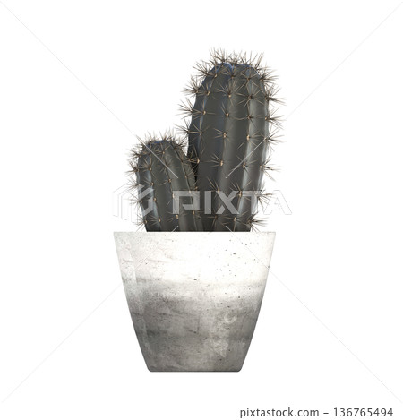 decorative flower in a pot isolate on a transparent background, 3D illustration, cg render 136765494