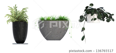 decorative flower in a pot isolate on a transparent background, 3D illustration, cg render decorative flower in a pot isolate on a transparent background, 3D illustration, cg render 136765517