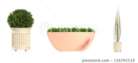 decorative flower in a pot isolate on a transparent background, 3D illustration, cg render decorative flower in a pot isolate on a transparent background, 3D illustration, cg render 136765519