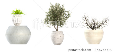 decorative flower in a pot isolate on a transparent background, 3D illustration, cg render decorative flower in a pot isolate on a transparent background, 3D illustration, cg render 136765520