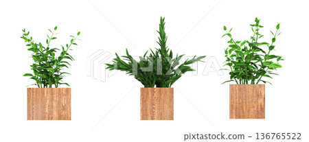 decorative flower in a pot isolate on a transparent background, 3D illustration, cg render decorative flower in a pot isolate on a transparent background, 3D illustration, cg render 136765522