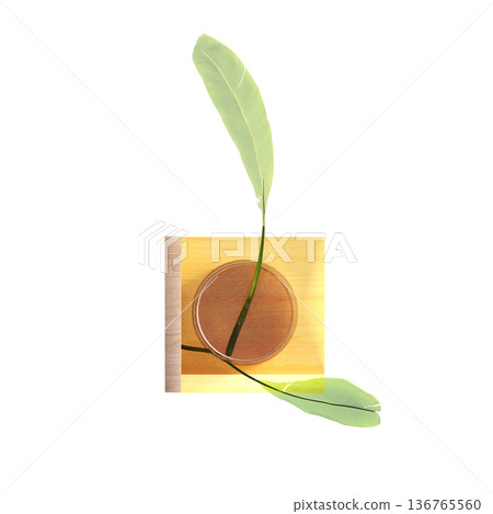 decorative flowers and plants for the interior, top view, isolated on transparent background, 3D illustration, cg render 136765560