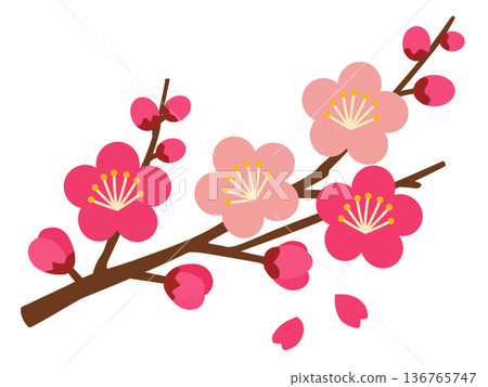 梅花 梅花 136765747