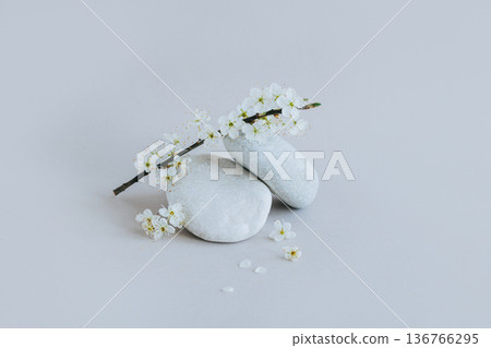 Beautiful branch with white blossom and stones on a grey background. Spring minimalistic concept. 136766295