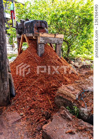 The leather tannery in Soure, Ilha de Marajo, Para, Brazil 136766490