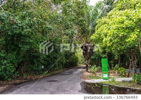 School in the middle of the amazon jungle at Soure in the Marajo Island at Para, Brazil. Tropical rain forests. Latin America. School in the middle of the amazon jungle at Soure in the Marajo Island at Para, Brazil. Tropical rain forests. Latin America. 136766493