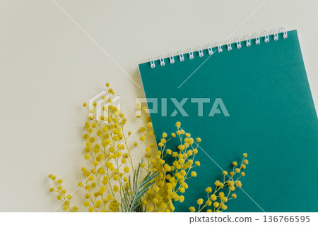 Notebook with blank green page and mimosa flower on a light yellow background. Notebook with blank green page and mimosa flower on a light yellow background. 136766595