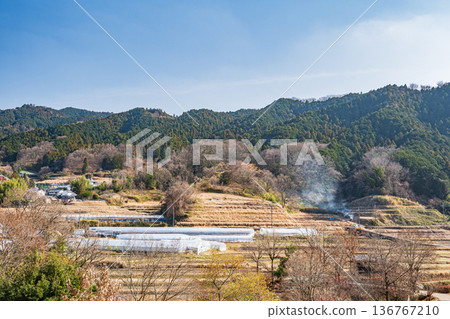 View of the Sakata rice terraces from the Iwaido area of Asuka Historical Park, Asuka Village, Nara Prefecture 136767210