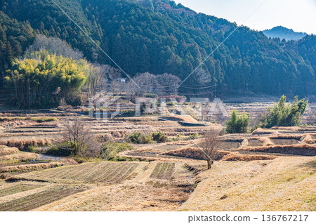 Asuka Historical Park, Iwaido Area, Iwaido Rice Terraces, Asuka Village, Nara Prefecture 136767217