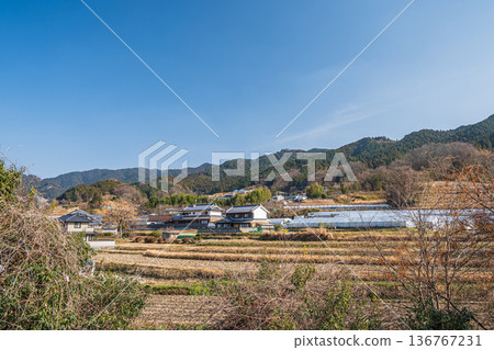 從奈良縣飛鳥村飛鳥歷史公園岩井戶區眺望坂田梯田 136767231