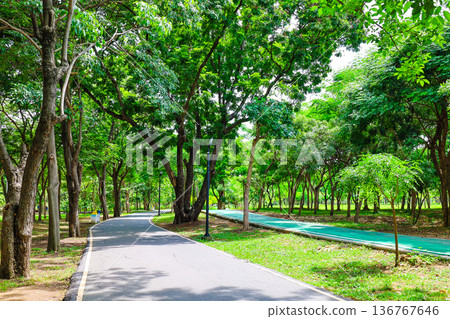 綠色公園風光 136767646