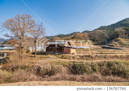 View of the Sakata rice terraces from the Iwaido area of Asuka Historical Park, Asuka Village, Nara Prefecture View of the Sakata rice terraces from the Iwaido area of Asuka Historical Park, Asuka Village, Nara Prefecture 136767768